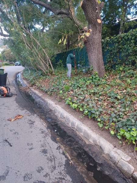 Premium Lawn Care Services Serving Los Angeles and Surrounding Areas | LANDSCAPE INSURED COMPANY!