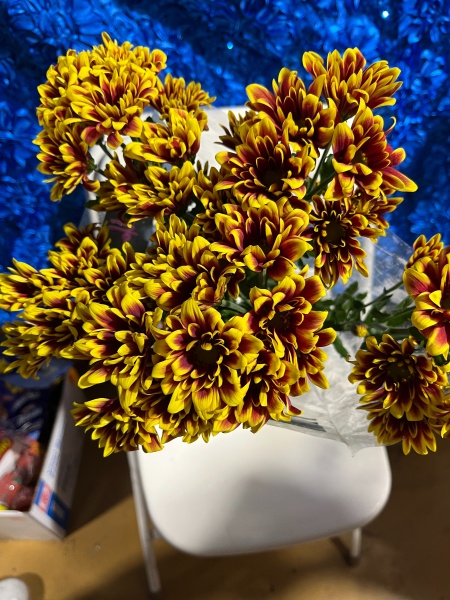 Flower and Roses for sale at the best prices at Micaela's Flowers & Party Supply