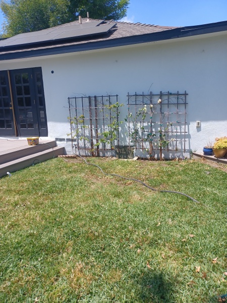 Ojeda Landscape Services! Local Leader in Landscape Maintenance Services in Los Angeles, CA