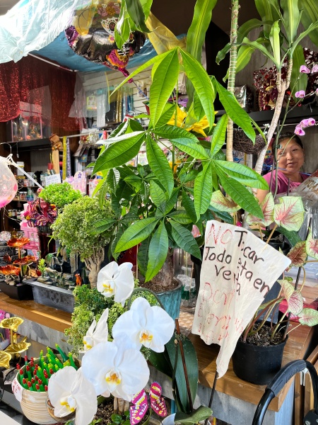 Micaela's Flowers & Party Supply